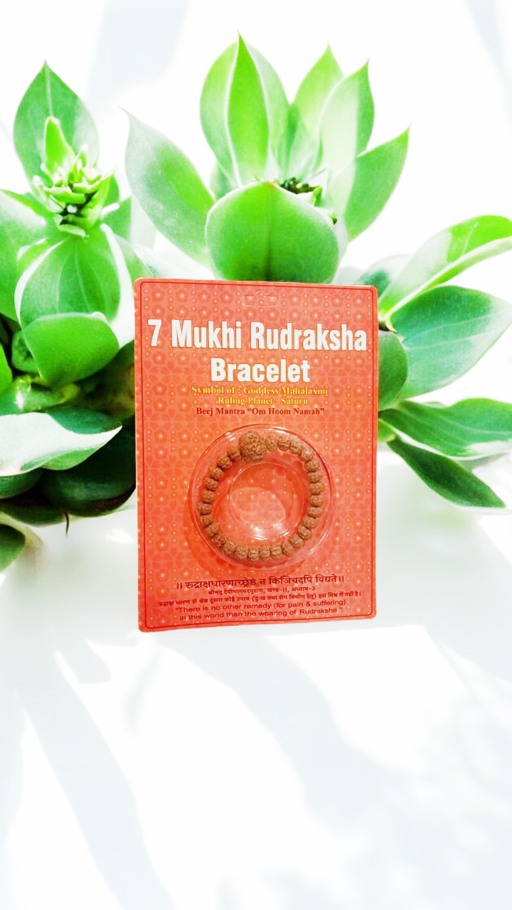 7 Mukhi Rudraksha Bracelet